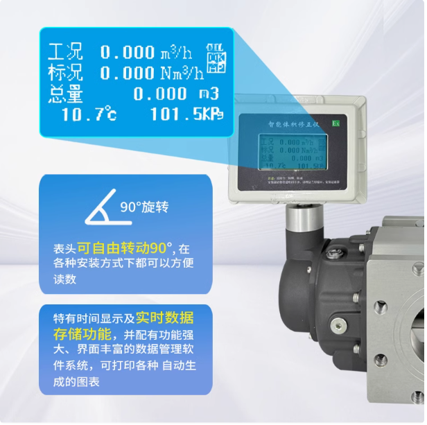 LLQ-25氣體羅茨腰輪流量計