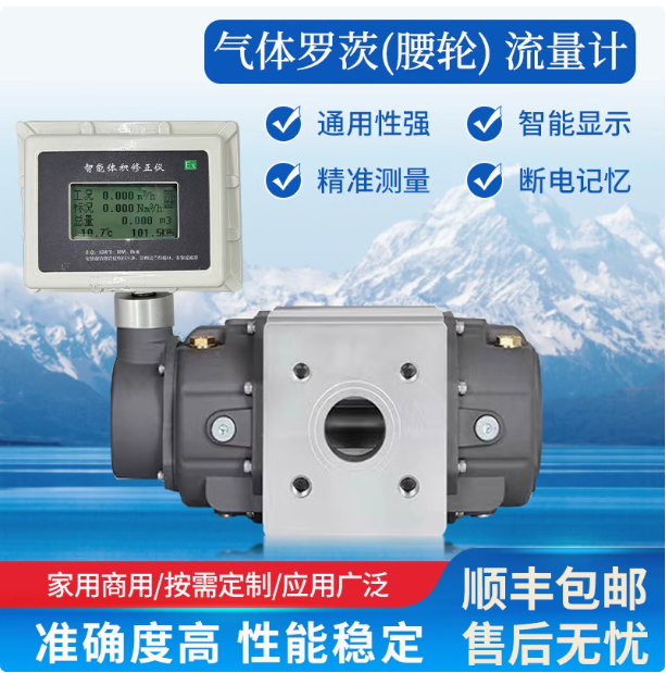 LLQ-50氣體羅茨腰輪流量計(jì)