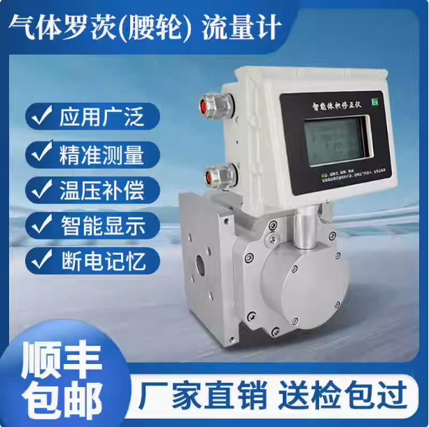 LLQ-65氣體羅茨腰輪流量計...